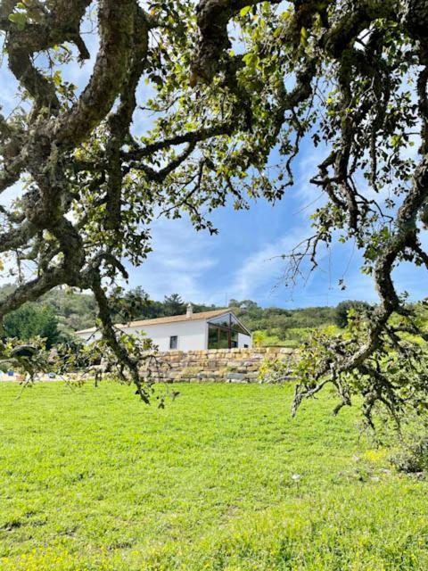 Salthouse Portugal - Stylish Duplex * Aljezur